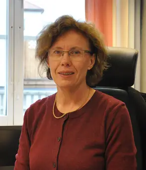 Ny stadsarkitekt i Vingåker