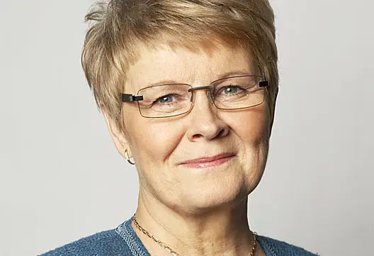 Före detta partiledare till Diös styrelse