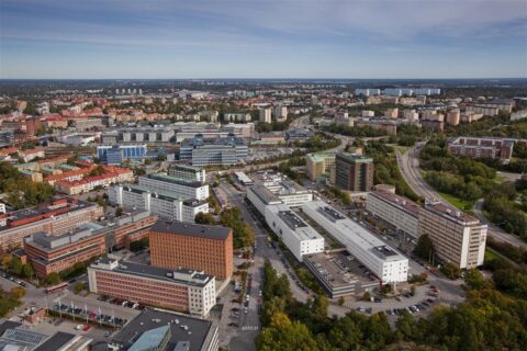 Humlegården hyr ut i Solna strand