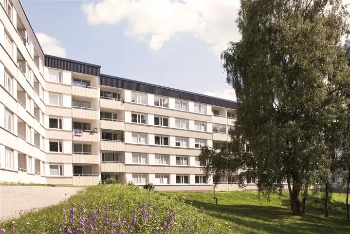 Första obligationsemissionerna för Förvaltaren