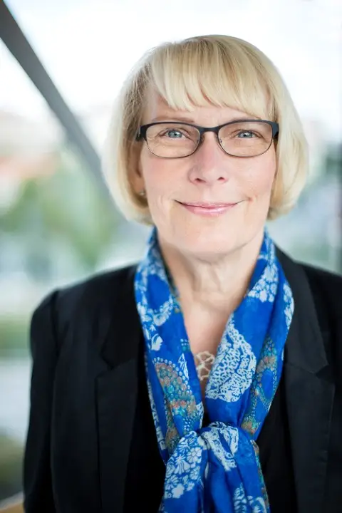 WSP rekryterar tung retail-konsult