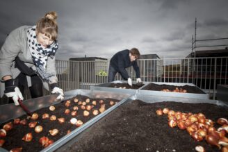 Heba miljösatsar i Norra Djurgårdsstaden
