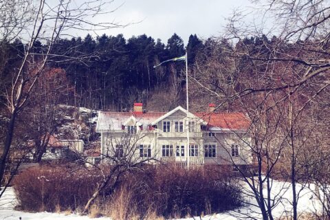 Aspelin Ramm köper mer vid Pedagogen Park