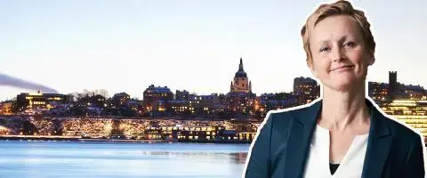 Nyfosa om jättelika miljardaffären med Randviken