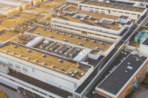 Globala fondens storsatsning – kan leda till 1 200 nya jobb