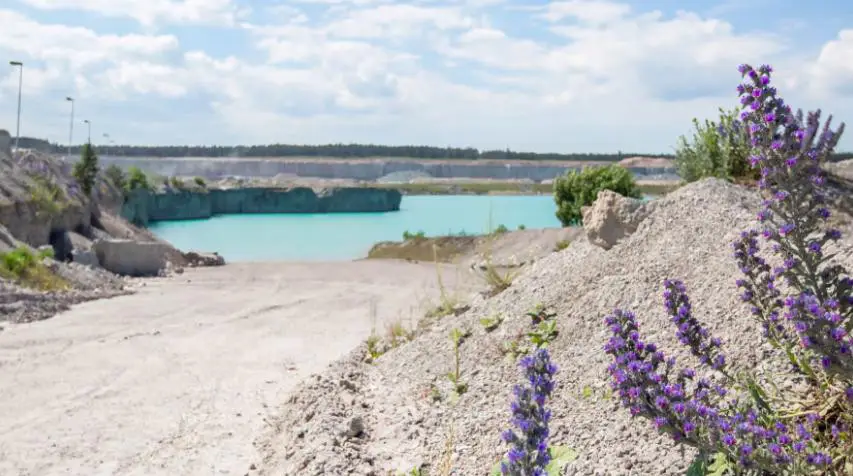 Cementa får tillstånd att bryta kalksten i Slite i fyra år till