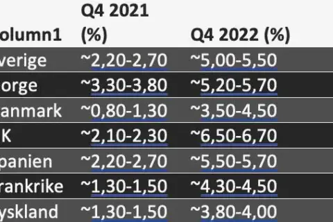 Analyschefen: Välkommen till det dramatiska 20-talet