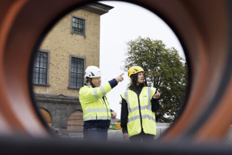 Brottsliga byggen byggs bort