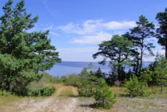 Strandnära fastighetsbestånd på Gotland säljs efter konkurs