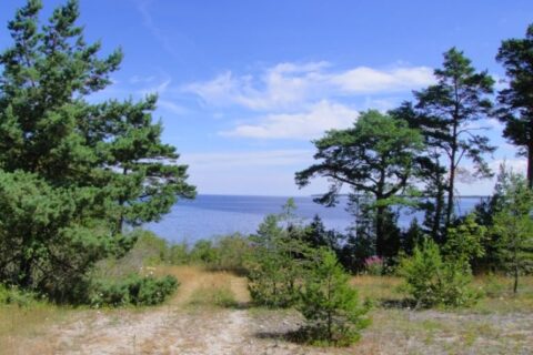 Strandnära fastighetsbestånd på Gotland säljs efter konkurs