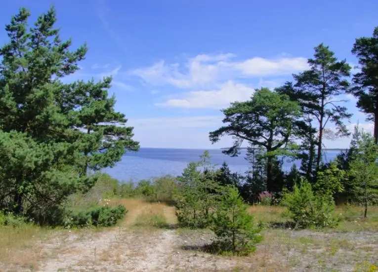 Strandnära fastighetsbestånd på Gotland säljs efter konkurs