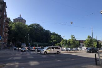 Stadsplanering: Barrträd ska rädda städernas dåliga luft