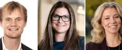 Profilernas flipp och flopp inom hållbarhetsarbetet