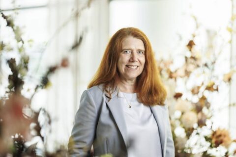 Vasakronan ser ingen centrumdöd