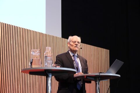 Ingves: ”Vi har så stora strukturella frågeställningar inom bostadssektorn”