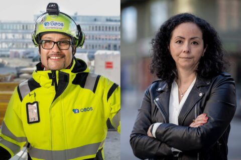 ”Sverige riskerar att bromsa en hel bransch”