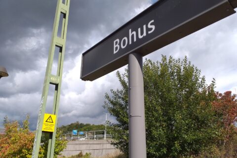 Kommunen överklagar stoppat skolbygge – vill ompröva 75 år gammal detaljplan
