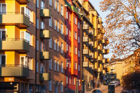 Bomarknadsundersökning visar glädjeskutt i september